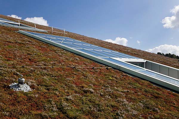 Een groendak zorgt voor een frisse en ecologische woning