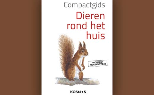 Compactgids Dieren rond het huis