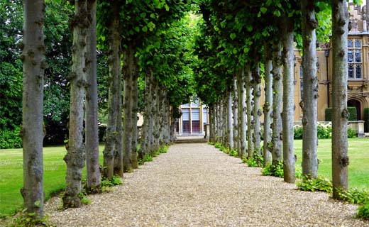 Tuintips-voor-de-laatste-week-van-augustus