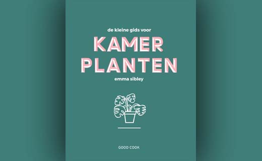 De kleine gids voor kamerplanten