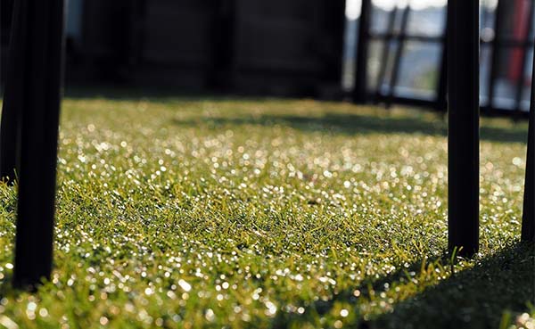 Kunstgras voor een onderhoudsvrije tuin