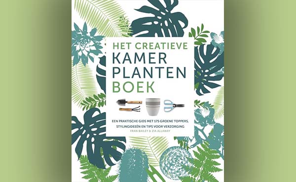 Het-creatieve-kamerplantenboek