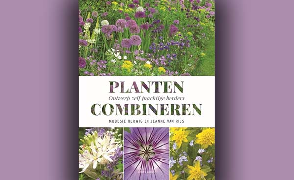 Planten combineren: Ontwerp zelf prachtige borders