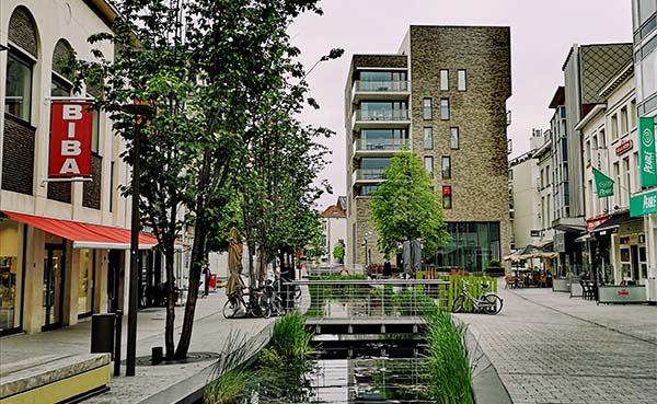 Studienamiddag-stedelijke-landschappen-en-natuurinclusief-verdichten