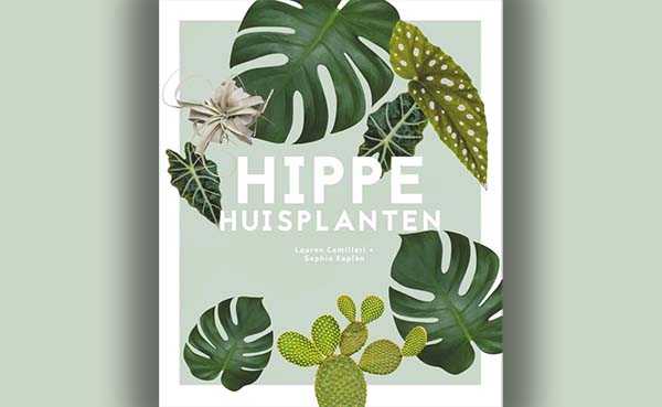 Hippe huisplanten