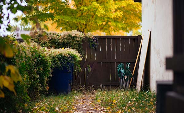 Meer privacy creëren in je tuin met deze tips