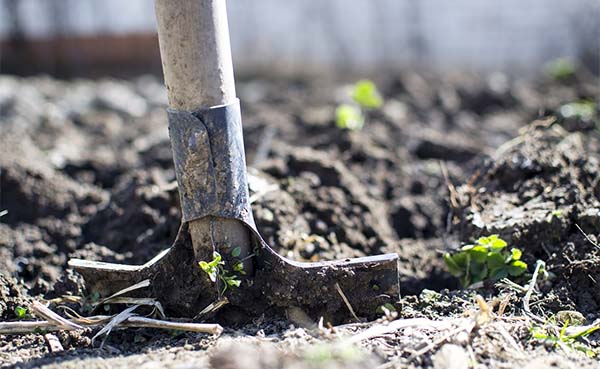 Wat zijn de voordelen van het omploegen van de tuin?