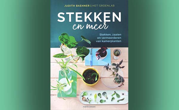 Stekken en meer - Stekken, zaaien en vermeerderen van kamerplanten