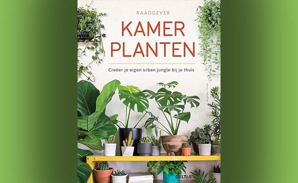 Kamerplanten - Creëer je eigen urban jungle bij je thuis