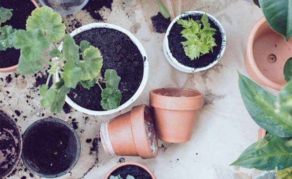 Paasvakantie in je tuin: 5 tips voor mooie bloemen en lekker fruit uit eigen hof