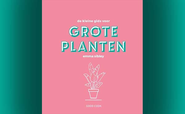 De kleine gids voor grote planten