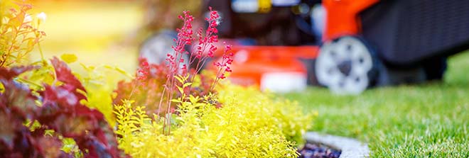 Tips voor het inrichten van je tuin