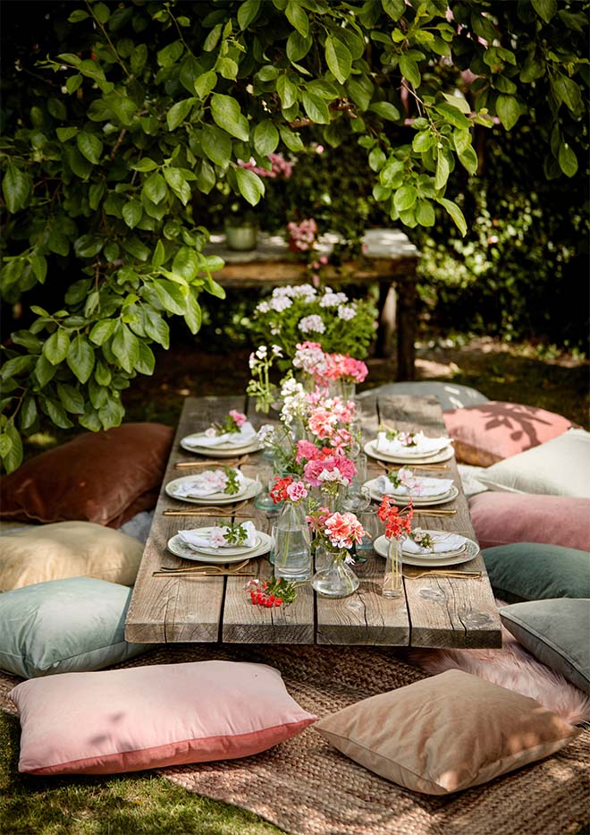 Geraniums - Geknipt voor de zomer