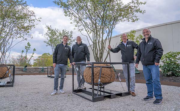 Startup maakt vliegende start met ‘dansende’ bomen op stadsdaken