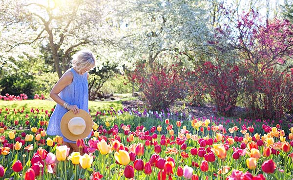 Tips-voor-een-heerlijke-tuin