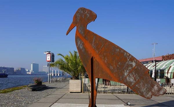 Amvest en COD ontwikkelen samen Hamerkop, Amsterdam Noord