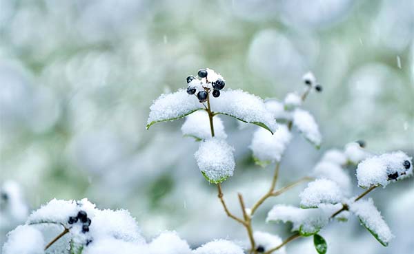 Zet-je-tuin-op-orde-voor-de-winterslaap