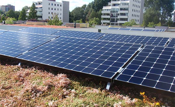 Perfecte combinatie: groen dak met zonnepanelen