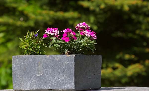 Bewijzen bioscoop Blokkeren 5x de leukste plantenbakken voor jouw tuin! - bouwenwonen.net