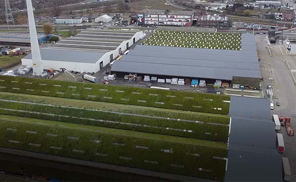 Meer groene stroom voor Gent dankzij 17.000 nieuwe zonnepanelen aan Rigakaai