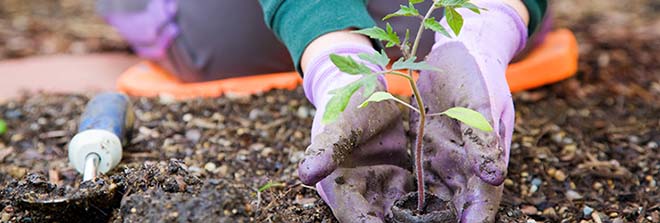 Dit kun je doen om de tuin voorjaar klaar te maken!