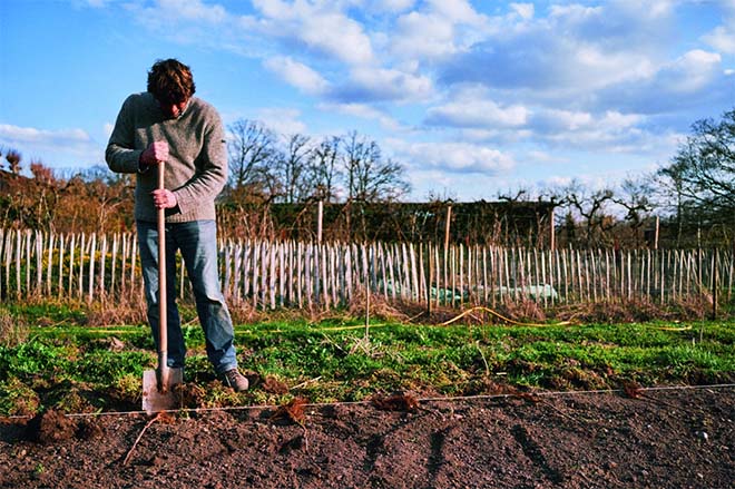 Duik in je moestuin met Wim Lybaert en zijn nieuwe boek: In de moestuin