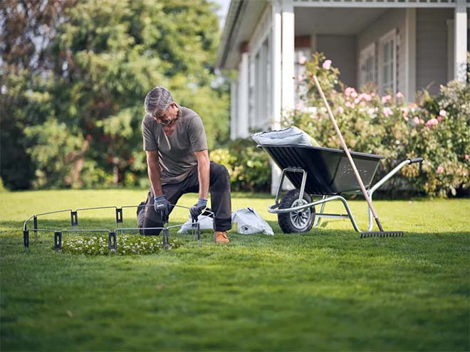 Week van de Bij: tips voor een bijvriendelijke tuin