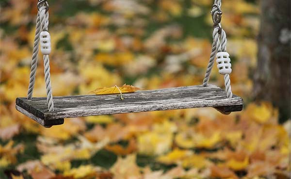 Hoe kan je in de herfst en winter nog steeds een mooie tuin behouden?