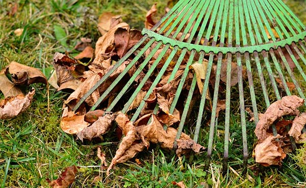 Genieten van je tuin in herfst en winter