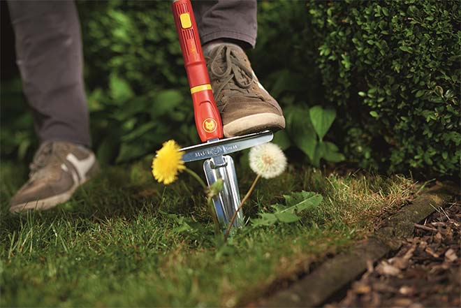 Gazononderhoud: zo houd je het gras in topconditie dit najaar