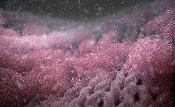 Het gevolg van n wasbeurt: 700.000 microvezels in ons water