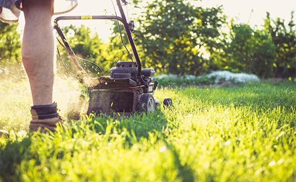 Zo kiest u de juiste grasmaaier voor uw tuin