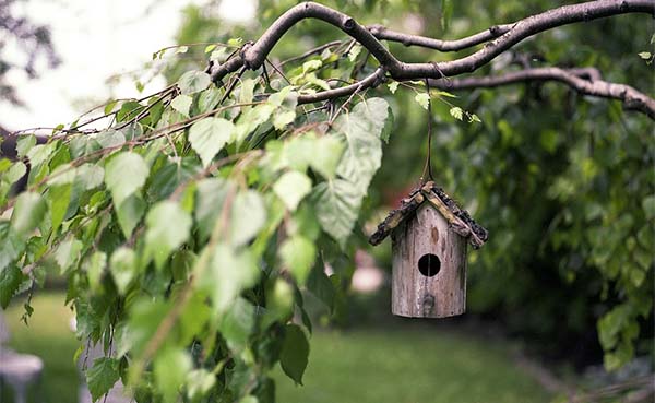 Wil jij de meest gezellige tuin van de buurt?