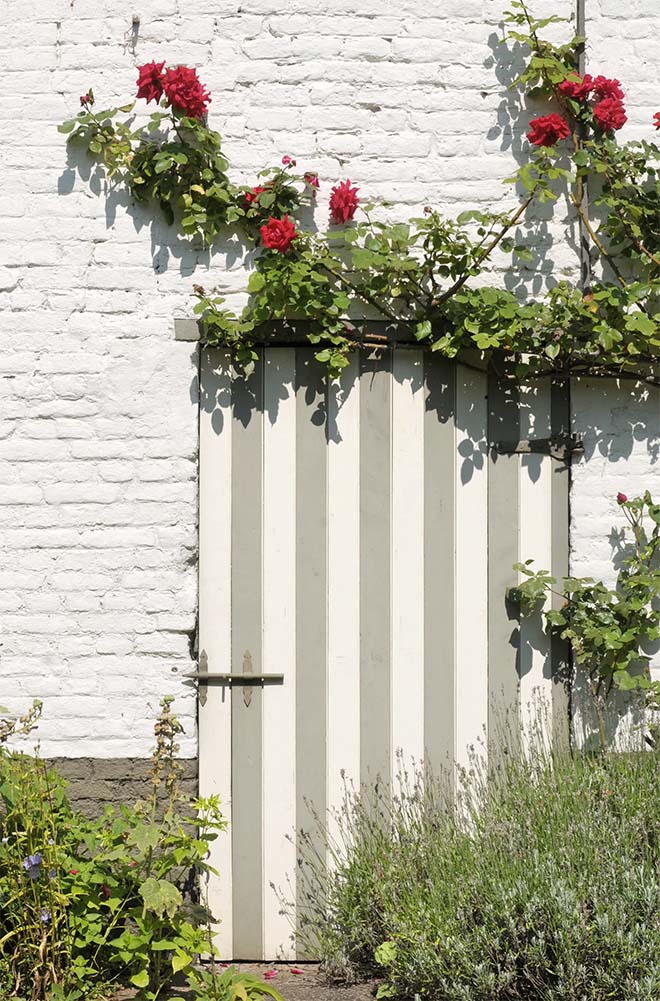 Een blik op de tuin van de toekomst