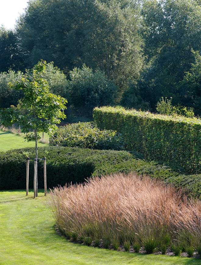 Maak je tuin lenteklaar