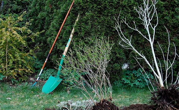 Zo hou je je huis schoon tijdens een verbouwing van je tuin