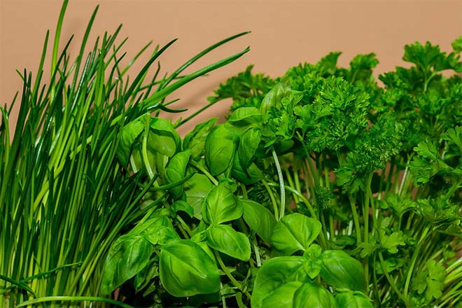 Welke planten zijn geschikt voor een indoor moestuin?