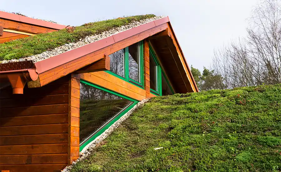 Groendaken: een groene revolutie voor duurzaam stedelijk leven