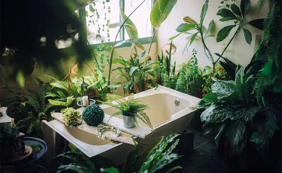 7 Tips om milieuvriendelijk naar het toilet en de badkamer te gaan