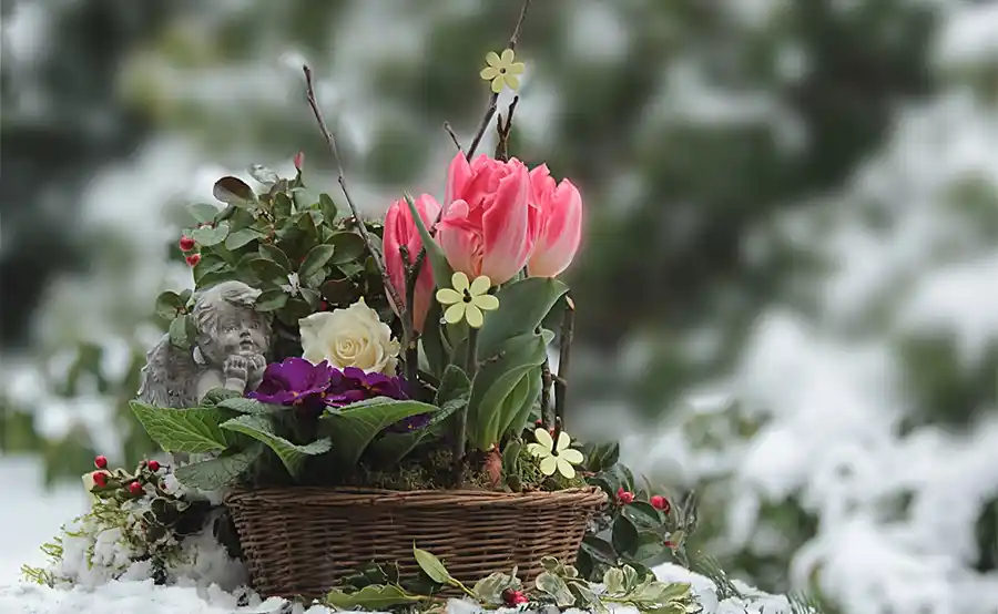 10 Manieren om in de winter van jouw tuin te genieten