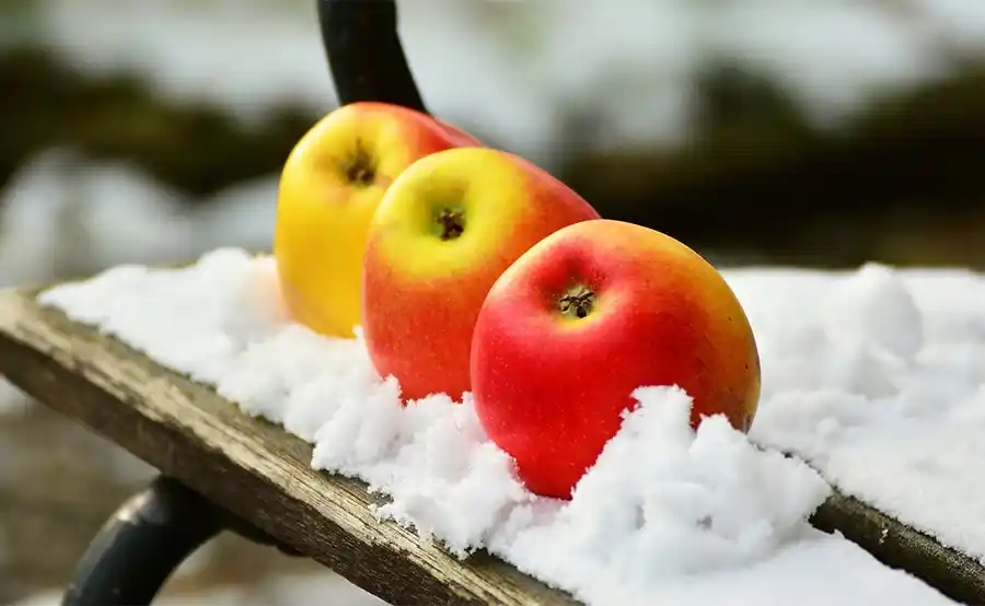 Tuintips voor de vierde week van januari