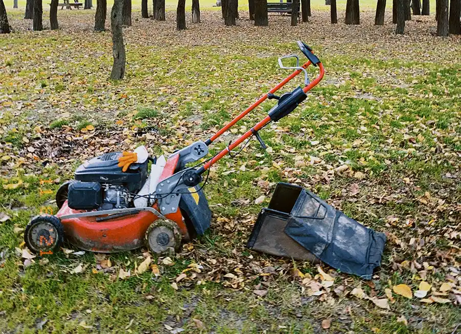 Mooi gazon in het voorjaar begint in februari