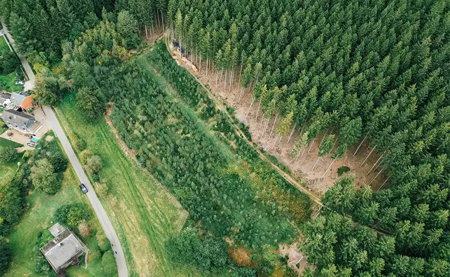 CO2-impact van gasverbruik en hoe dat tegen te gaan