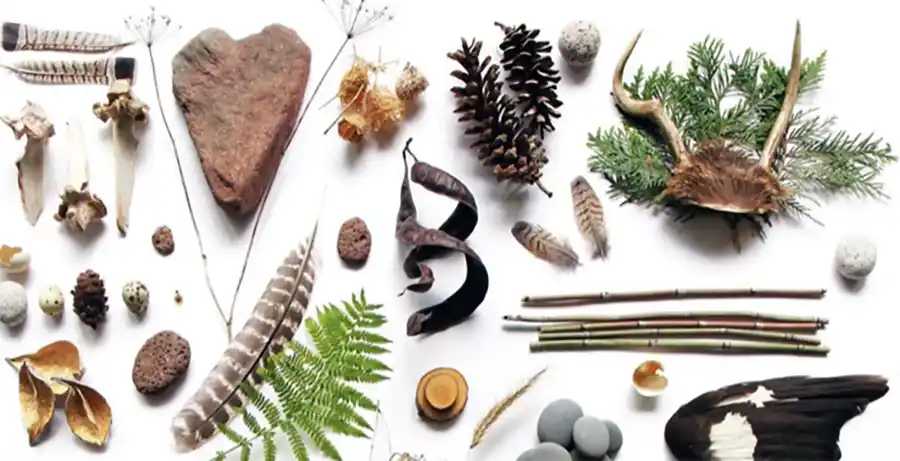 Wild Craft, 50 DIY-projecten met materialen uit de natuur
