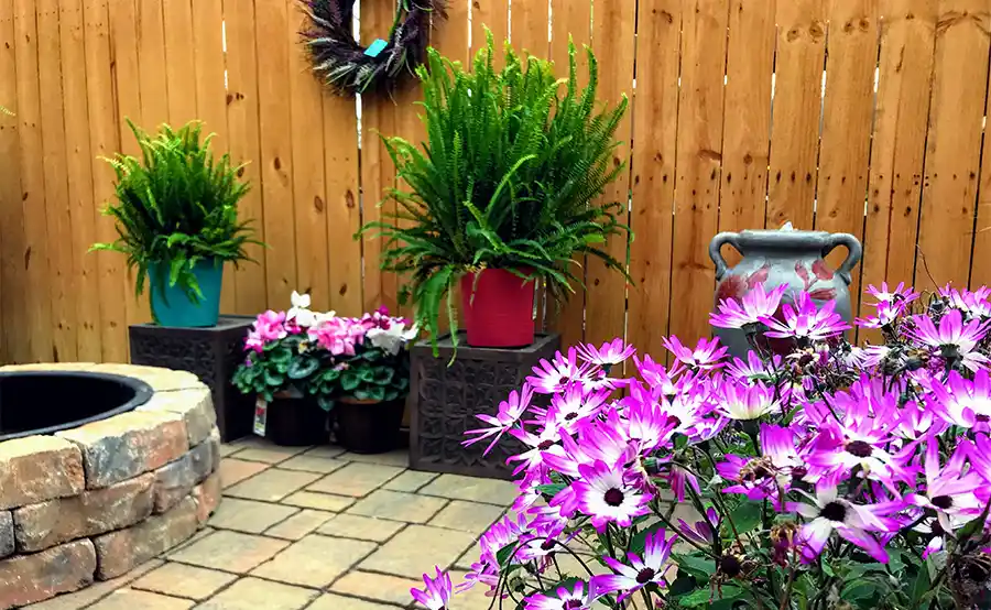 De beste tips voor de inrichting van een kleine tuin