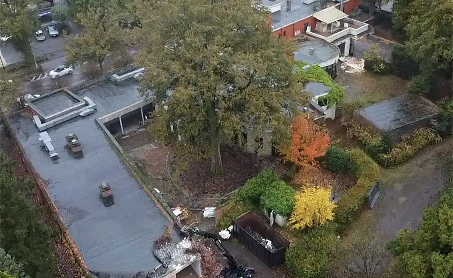 Unieke boomverplaatsing in Brasschaat: 150-jarige eik krijgt nieuw leven
