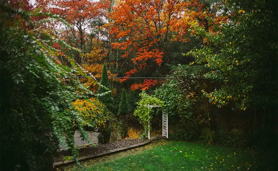 Nuttige tips om je tuin herfstklaar te maken