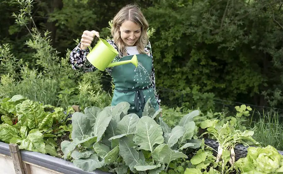 Tuintips: De moestuin in mei