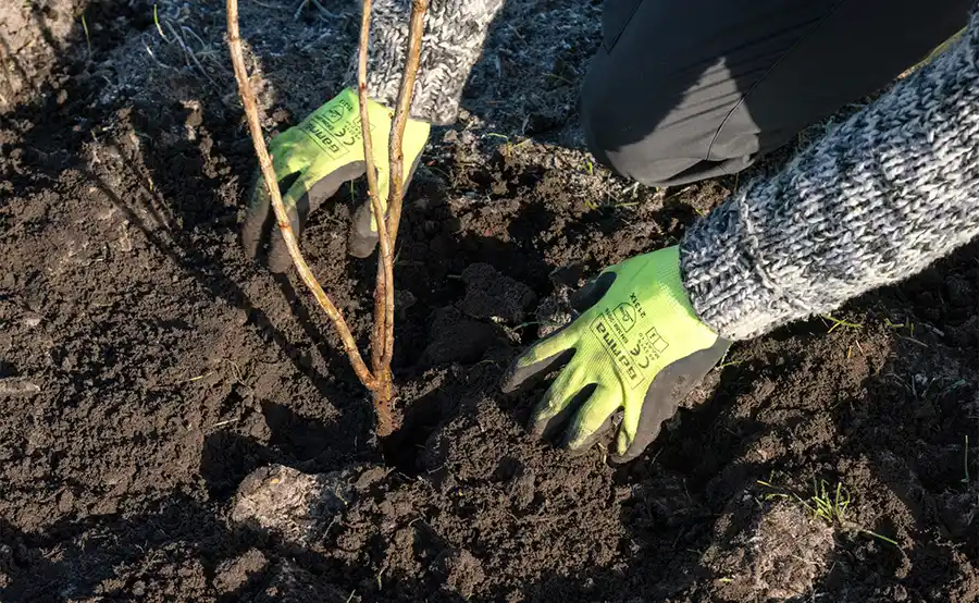 Natuurhuisje doneert 1 miljoen euro aan biodiversiteit