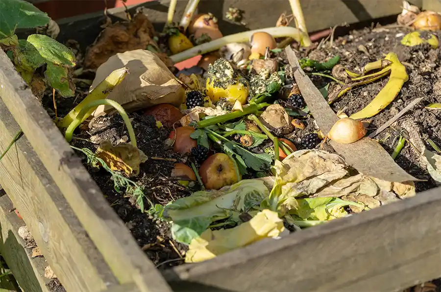 Met deze vier tips maak je je tuin aantrekkelijk voor bijen en vlinders - compostbak